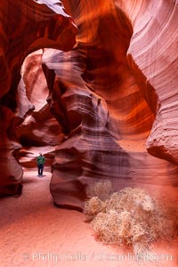 Upper Antelope Canyon slot canyon. Selfie, Navajo Tribal Lands, Page, Arizona