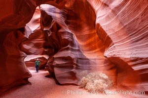 Upper Antelope Canyon slot canyon. Navajo Tribal Lands, Page, Arizona, USA, natural history stock photograph, photo id 26670