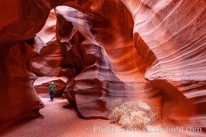 Upper Antelope Canyon slot canyon, Navajo Tribal Lands, Page, Arizona