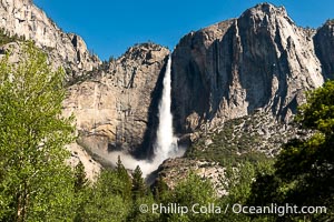 Upper Yosemite Falls Roaring in May as Historic Snowmelt Floods Yosemite Valley, May 2023, Yosemite National Park, California