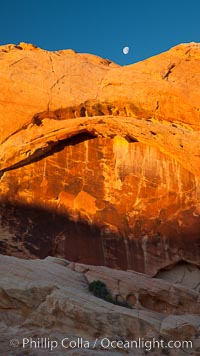 Setting moon over natural sandstone arch, sunrise, Valley of Fire State Park