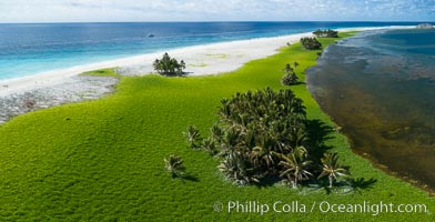 Vegetation and coconut palms at Clipperton Island, aerial photo. Clipperton Island is a spectacular coral atoll in the eastern Pacific. By permit HC / 1485 / CAB (France)