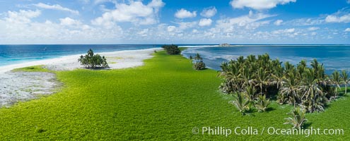 Vegetation and coconut palms at Clipperton Island, aerial photo. Clipperton Island is a spectacular coral atoll in the eastern Pacific. By permit HC / 1485 / CAB (France)