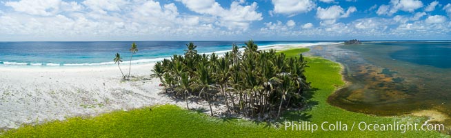 Vegetation and coconut palms at Clipperton Island, aerial photo. Clipperton Island is a spectacular coral atoll in the eastern Pacific. By permit HC / 1485 / CAB (France)