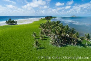 Vegetation and coconut palms at Clipperton Island, aerial photo. Clipperton Island is a spectacular coral atoll in the eastern Pacific. By permit HC / 1485 / CAB (France)