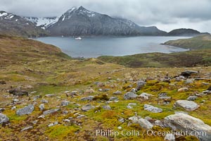 View of Godthul, from the grassy slopes of South Georgia.  The name Godthul, or 