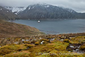 View of Godthul, from the grassy slopes of South Georgia.  The name Godthul, or "Good Hollow", dates back to Norwegian whalers who used this bay as a anchorage