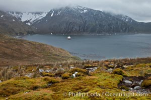 View of Godthul, from the grassy slopes of South Georgia.  The name Godthul, or "Good Hollow", dates back to Norwegian whalers who used this bay as a anchorage