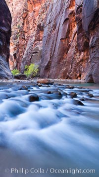 Virgin River Narrows, Zion National Park, Utah