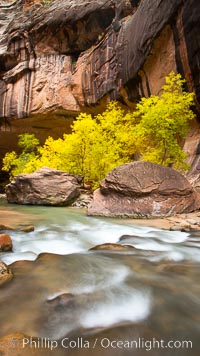 Virgin River Narrows, Zion National Park, Utah