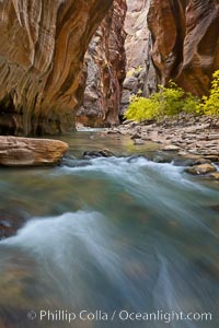 The Virgin River flows through the Zion Narrows, with tall sandstone walls towering hundreds of feet above, Virgin River Narrows, Zion National Park, Utah