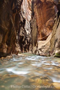 The Virgin River flows through the Zion Narrows, with tall sandstone walls towering hundreds of feet above, Virgin River Narrows, Zion National Park, Utah