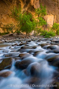 The Virgin River Narrows, where the Virgin River has carved deep, narrow canyons through the Zion National Park sandstone, creating one of the finest hikes in the world.