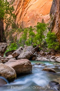 The Virgin River Narrows, where the Virgin River has carved deep, narrow canyons through the Zion National Park sandstone, creating one of the finest hikes in the world.