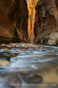 The Virgin River Narrows, where the Virgin River has carved deep, narrow canyons through the Zion National Park sandstone, creating one of the finest hikes in the world