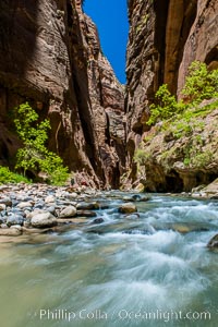 The Virgin River Narrows, where the Virgin River has carved deep, narrow canyons through the Zion National Park sandstone, creating one of the finest hikes in the world