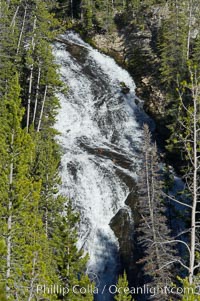 Virginia Cascades is a 60 foot waterfall between Madison and Canyon in Yellowstone National Park