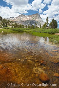 Vogelsang Peak (11516') at sunset, reflected in a small creek near Vogelsang High Sierra Camp in Yosemite's high country, Yosemite National Park, California