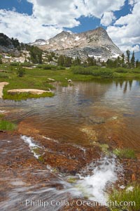 Vogelsang Peak (11516') in Yosemite's High Sierra, reflected in small creek, morning, summer, Yosemite National Park, California