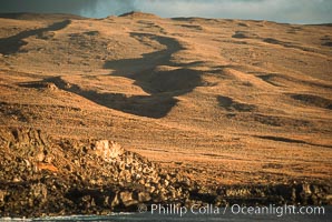 Volcanic cones, landscape, south end of Isla Guadalupe.