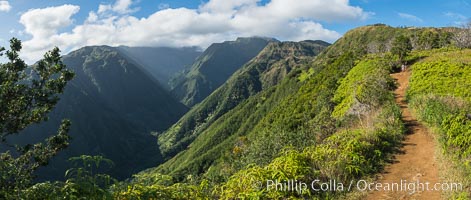 Waihee Ridge trail overlooking Waihee Canyon, Maui, Hawaii, Panoramic Photo