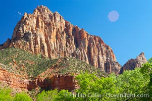 The Watchman, a red Navaho sandstone peak in Zion National Park