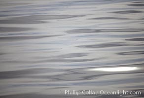 Steel gray reflections, abstract light patterns, Frederick Sound, Alaska.