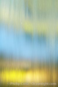 Water sheets over a fountain, blurry water, abstract lights are visible through the falling water