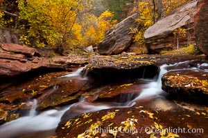 Small waterfalls and autumn trees, along the left fork in North Creek Canyon, with maple and cottonwood trees turning fall colors, Zion National Park, Utah