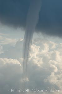 The mature vortex of a ocean waterspout, seen against cumulus clouds in the background.  Waterspouts are tornadoes that form over water, Great Isaac Island