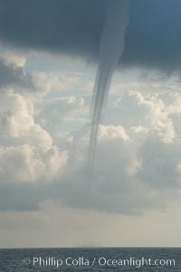 The mature vortex of a ocean waterspout, seen against cumulus clouds in the background.  Waterspouts are tornadoes that form over water, Great Isaac Island