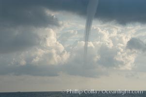 The mature vortex of a ocean waterspout, seen against cumulus clouds in the background.  Waterspouts are tornadoes that form over water, Great Isaac Island