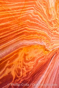 Brilliant sandstone patterns, The Wave, Arizona.