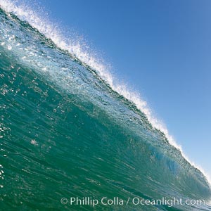 Cresting wave, morning light, glassy water, surf, Cardiff by the Sea, California