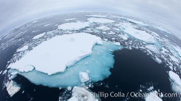 Pack ice and brash ice fills the Weddell Sea, near the Antarctic Peninsula.  This pack ice is a combination of broken pieces of icebergs, sea ice that has formed on the ocean