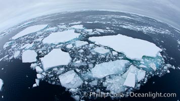 Pack ice and brash ice fills the Weddell Sea, near the Antarctic Peninsula.  This pack ice is a combination of broken pieces of icebergs, sea ice that has formed on the ocean