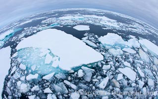 Pack ice and brash ice fills the Weddell Sea, near the Antarctic Peninsula.  This pack ice is a combination of broken pieces of icebergs, sea ice that has formed on the ocean