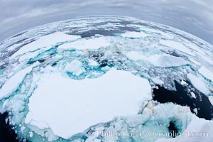 Pack ice and brash ice fills the Weddell Sea, near the Antarctic Peninsula.  This pack ice is a combination of broken pieces of icebergs, sea ice that has formed on the ocean. Southern Ocean, natural history stock photograph, photo id 24838
