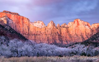 West Temple, The Sundial and the Altar of Sacrifice illuminated by soft alpenglow, about 20 minutes before sunrise, Zion National Park, Utah