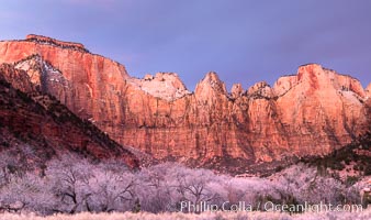 West Temple, The Sundial and the Altar of Sacrifice illuminated by soft alpenglow, about 20 minutes before sunrise, Zion National Park, Utah