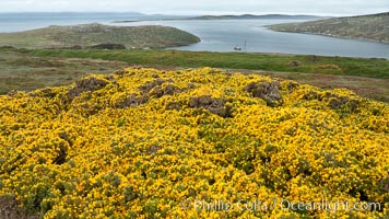 Westpoint Island