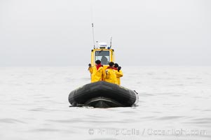 Whale watchers look in all directions searching for a whale, near Tofino, Clayoquot Sound, west coast of Vancouver Island, Cow Bay, Flores Island, British Columbia, Canada