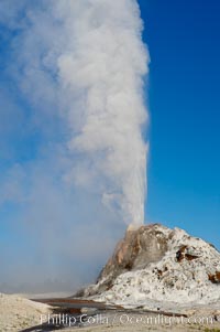 White Dome Geyser rises to a height of 30 feet or more, and typically erupts with an interval of 15 to 30 minutes.  It is located along Firehole Lake Drive, Lower Geyser Basin, Yellowstone National Park, Wyoming
