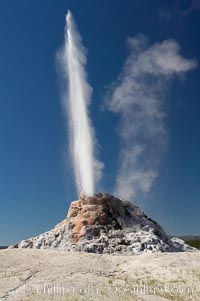 White Dome Geyser rises to a height of 30 feet or more, and typically erupts with an interval of 15 to 30 minutes.  It is located along Firehole Lake Drive, Lower Geyser Basin, Yellowstone National Park, Wyoming