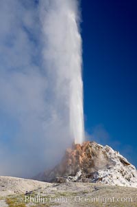 White Dome Geyser rises to a height of 30 feet or more, and typically erupts with an interval of 15 to 30 minutes.  It is located along Firehole Lake Drive, Lower Geyser Basin, Yellowstone National Park, Wyoming