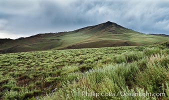 White Mountains and storm clouds, near Patriarch Grove, White Mountains, Inyo National Forest