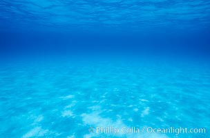 Sand, water and light