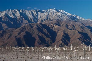 Wind turbines provide electricity to Palm Springs and the Coachella Valley. San Gorgonio pass, San Bernardino mountains, San Gorgonio Pass