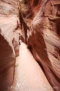 The Wire Pass narrows.  This exceedingly narrow slot canyon, in some places only two feet wide, is formed by water erosion which cuts slots deep into the surrounding sandstone plateau, Paria Canyon-Vermilion Cliffs Wilderness, Arizona