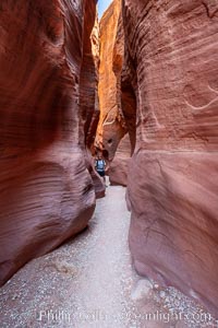 A hiker walking through the Wire Pass narrows.  This exceedingly narrow slot canyon, in some places only two feet wide, is formed by water erosion which cuts slots deep into the surrounding sandstone plateau, Paria Canyon-Vermilion Cliffs Wilderness, Arizona
